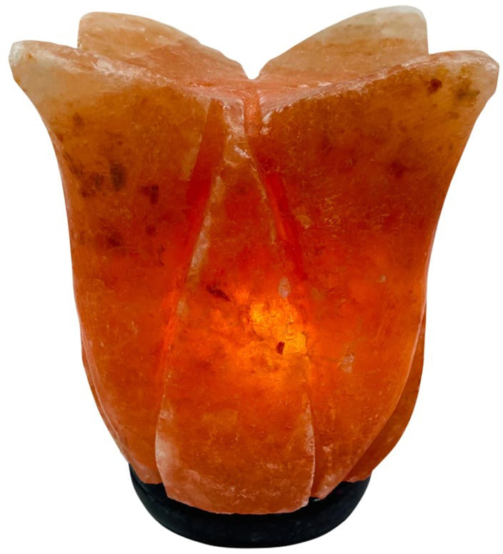 SaltCo Salt Crystal Lamp Lotus Onyx Base